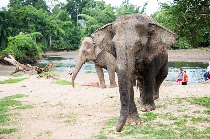 2 day 1 night Elephant World Kanchanaburi from Bangkok - Bangkok to Kanchanaburi: the transfer that frames the whole trip