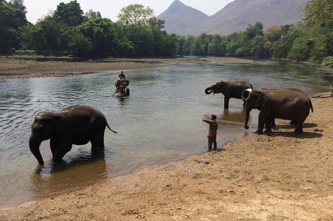 2 day 1 night Elephant World Kanchanaburi from Bangkok - Price and value: $405.52 includes real logistics, but ethics affects value too