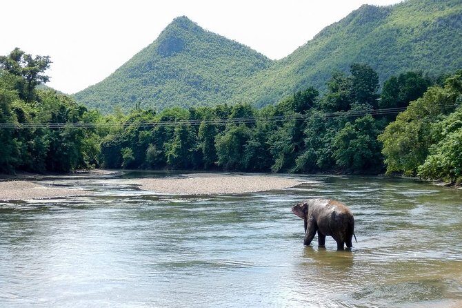2 day 1 night Elephant World Kanchanaburi from Bangkok - Overnight in a traditional Thai cottage: why the night matters