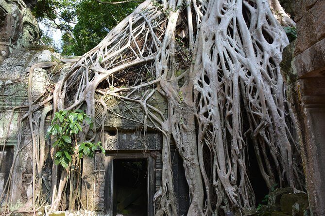 4 Days Expedition From Bangkok to Angkor Wat - Hotel, Guides, and the Kind of “Smooth” You Can Actually Feel