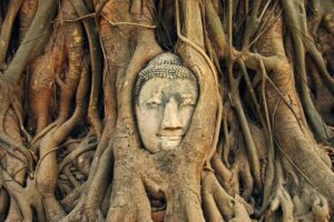 Ayutthaya Sunset Tour: UNESCO Temples & Peaceful River Cruise - Temple stops: the big three (and what each one gives you)
