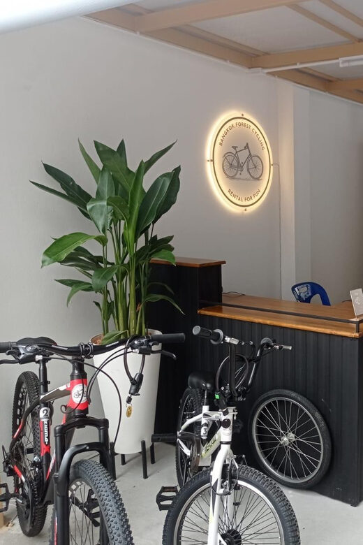 Bangkok Bicycle rental Benjakitti Park - Key Things to Know Before You Pedal