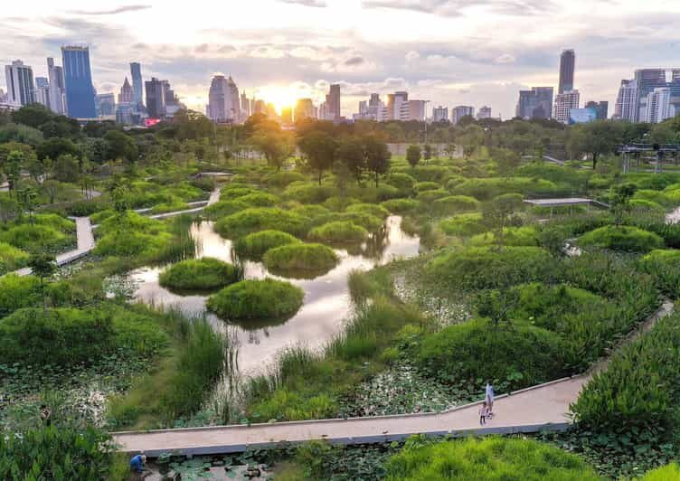 Bangkok Bicycle rental Benjakitti Park - Price vs. Value: Why $11 Can Be a Smart Spend