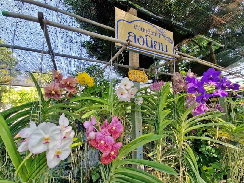 Bangkok Canals Hop-On Hop-Off Boat Tour - Key Points Worth Booking For