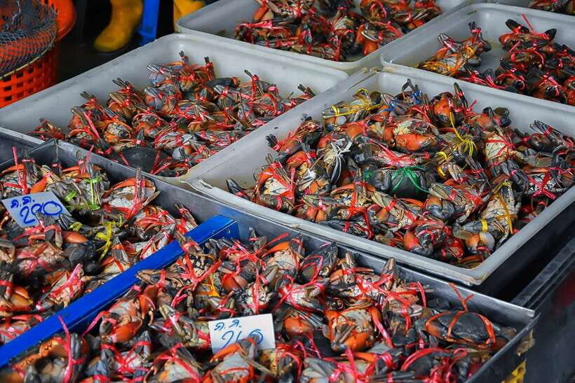 Bangkok: Damnoen Saduak Market and Maeklong Railway Market - Who should book this trip, and who should skip it