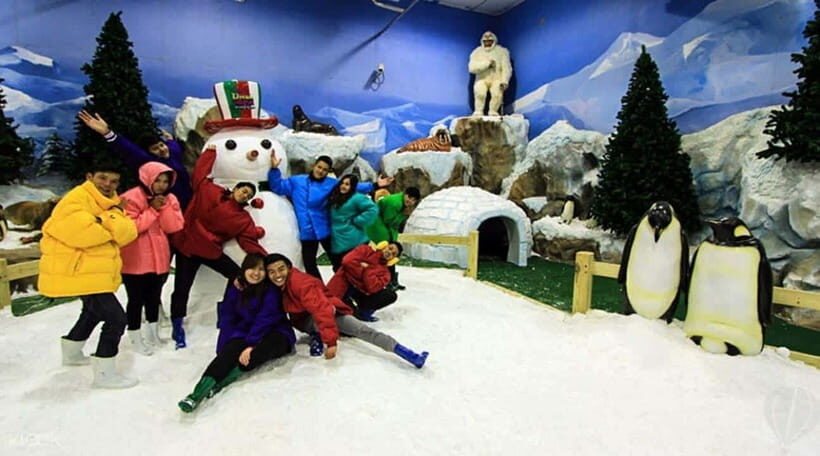 Bangkok: Dream World Unlimited Ride Ticket with Lunch - Snow Town at -8°C: the cold-weather highlight that changes the whole day