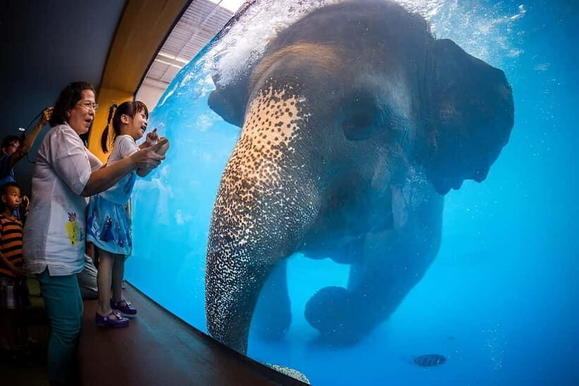 Bangkok/Pattaya: Khao Kheow Zoo Private Tour with Pickup - The key advantages that matter on the ground