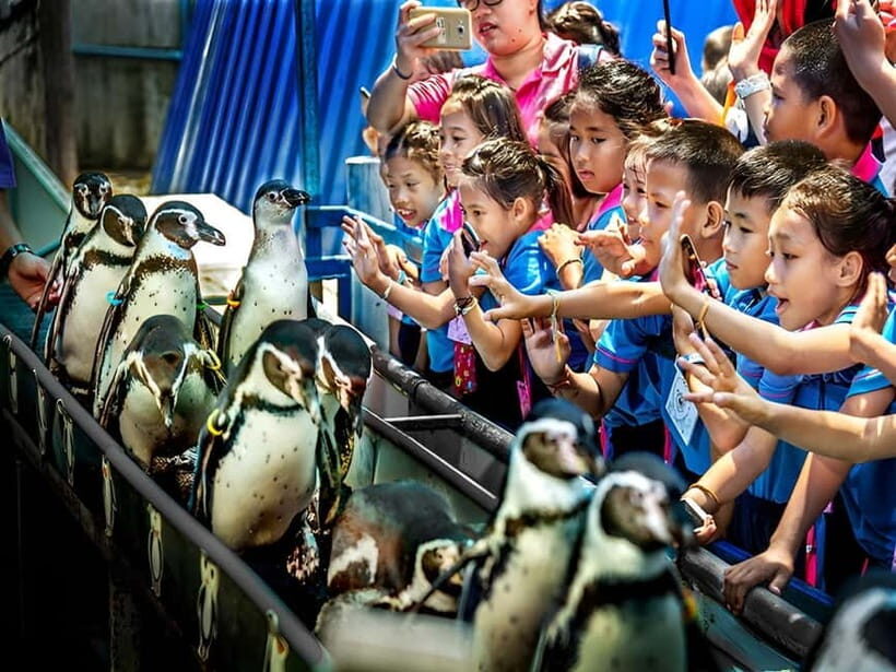 Bangkok/Pattaya: Khao Kheow Zoo Private Tour with Pickup - Price and Value at About $64 per Person