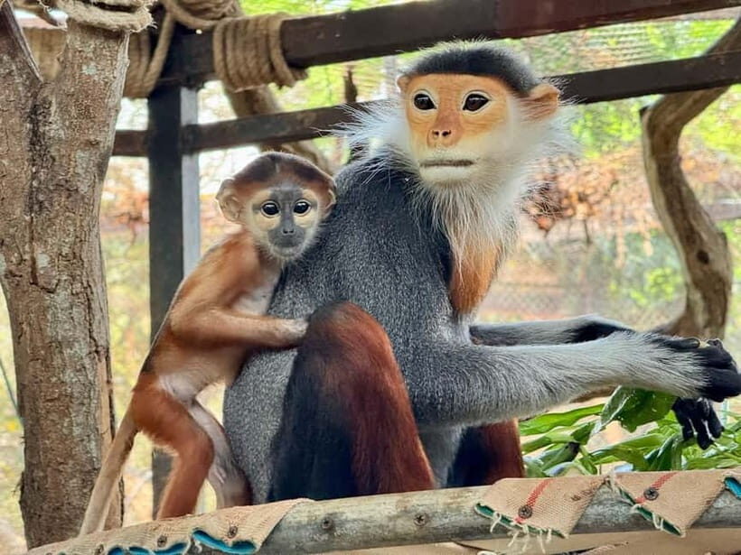 Bangkok/Pattaya: Khao Kheow Zoo Private Tour with Pickup - Who This Tour Fits Best (and Who Should Think Twice)