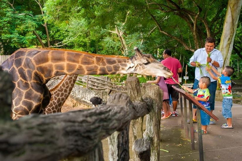 Bangkok/Pattaya: Khao Kheow Zoo Private Tour with Pickup - Pink Zone Riding in Your Own Vehicle