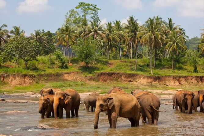 Bangkok: Safari world & Marine park - Key Highlights at Safari World and Marine Park (Bangkok)