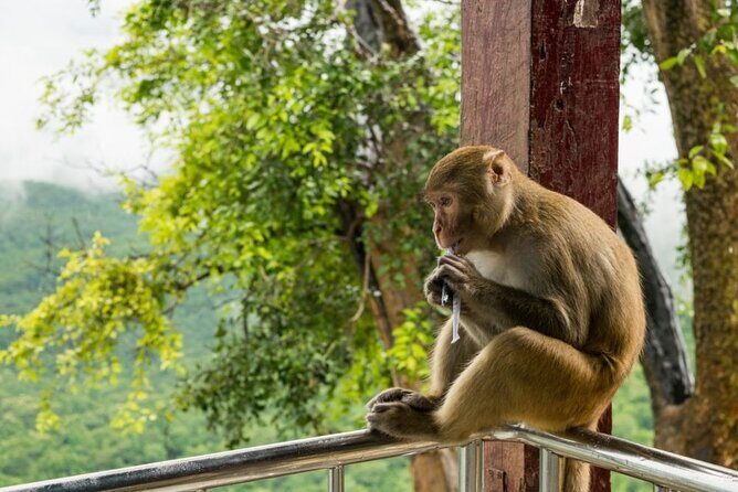 Bangkok: Safari world & Marine park - The 45-Minute Safari World Drive: What “Hundreds of Animals” Means