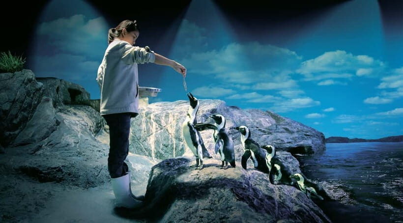 Bangkok: SEA LIFE Bangkok Ocean World Entry Ticket - The “11 zones” game plan: what you’ll actually see