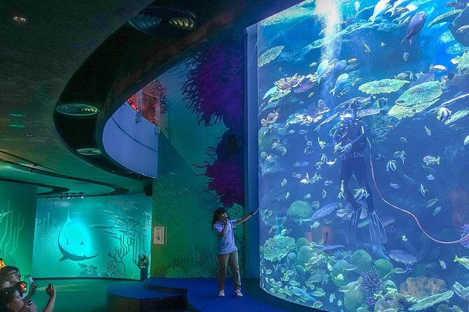 Bangkok SEA LIFE & Madame Tussauds Combo with Hotel Transfers - Sea Life Bangkok Ocean World: aquariums, big animals, and included food