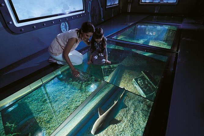 Bangkok SEA LIFE & Madame Tussauds Combo with Hotel Transfers - Madame Tussauds Bangkok: wax celebrities and museum-style pacing