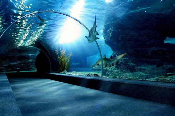 Bangkok SEA LIFE & Madame Tussauds Combo with Hotel Transfers - Skip-the-line access: the time saver that can still trip you up