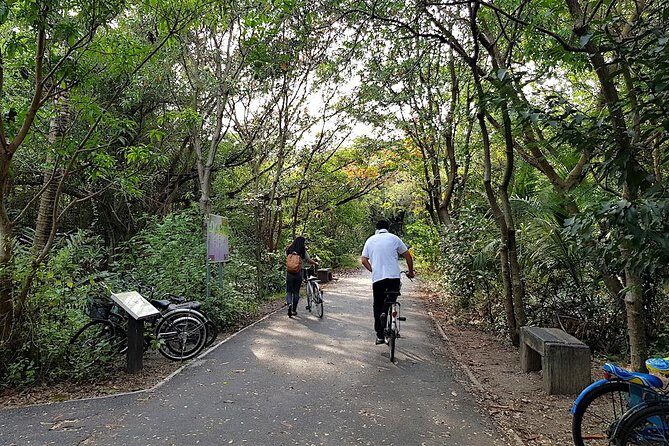 Bangkok's Green Lung Jungle Cycling Adventure Tour - Chao Phraya River crossing by longtail boat (and why it matters)