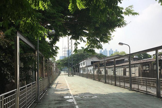Bangkok's Wireless Road: A Self-Guided Audio Tour - Rain trees by Nai Lert: why shade is a neighborhood story