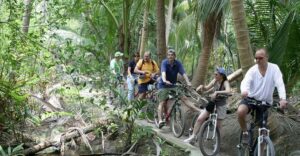 Colors Of Bangkok: 4-Hour Small Group Bike Tour - Ferry time on the Chao Phraya: views plus momentum