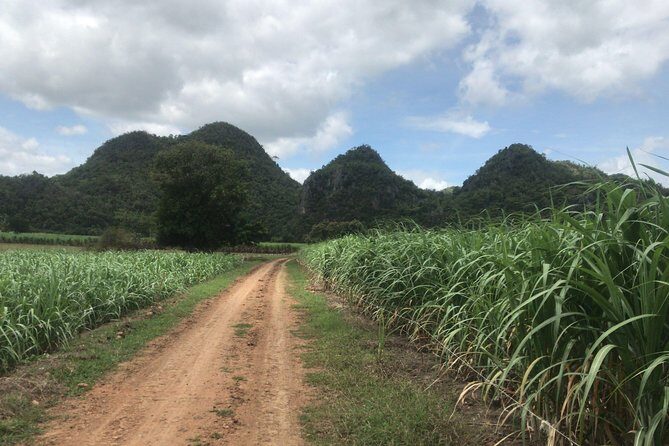 Cycling in rural Kanchanaburi area - What’s included: bikes, gear, and the puncture support safety net