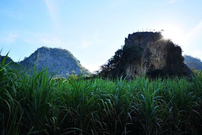Cycling in rural Kanchanaburi area - Stop by stop: from SUP Hire Thailand to farms, birds, villages, and back
