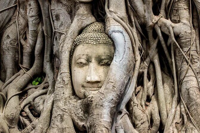 Day Tour of Ayutthaya and Bang Pa In - How the 6:30 am logistics shape the whole day