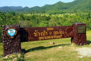 Elephant and Animal Watching in Kuiburi National Park - Join Afternoon Tour - The drive to Huai Luek Wildlife Area: where the day’s rhythm starts