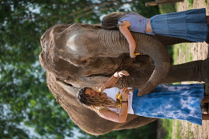 Elephant Jungle Sanctuary: Half Day Morning Program - Pickup and timing: getting to Camp 1 without drama