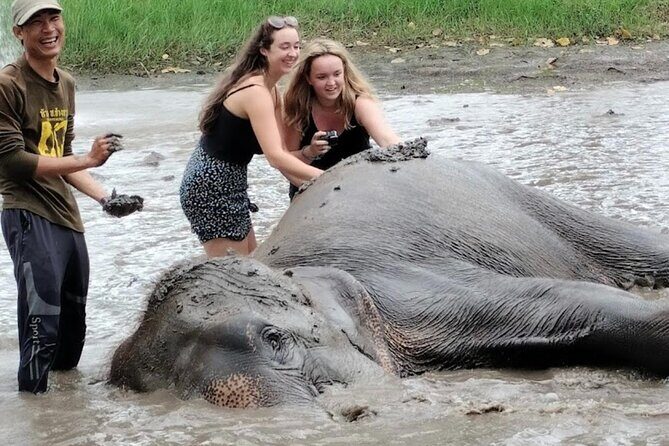 Erawan Waterfall and Elephant care from Bangkok -Private Tour - Erawan Waterfall: seven levels, emerald pools, and swim time