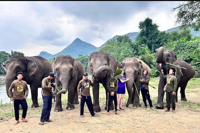 Erawan Waterfall and Elephant care from Bangkok -Private Tour - Getting back to Bangkok by 7:30 pm: plan for traffic reality