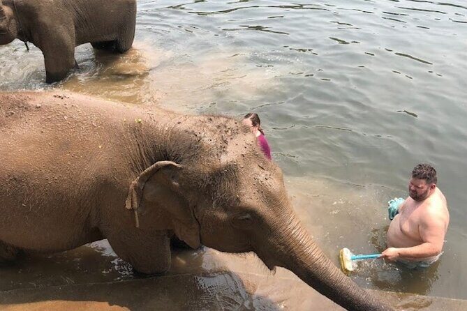 Erawan Waterfall and Elephant care from Bangkok -Private Tour - What you get for the price ($203.28): where the value really comes from