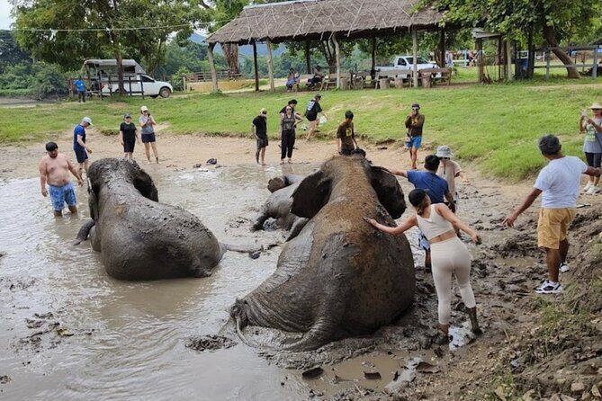 Erawan Waterfall and Elephant care from Bangkok -Private Tour - Who this trip fits best (and who should reconsider)