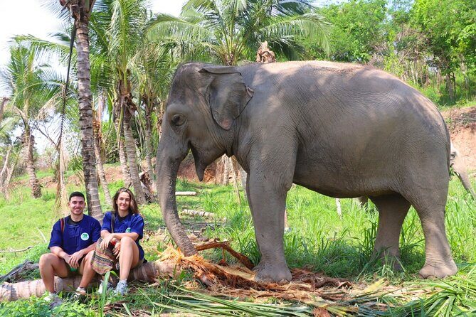 Ethical Elephant Sanctuary Tour from Bangkok & Pattaya - Key Things I’d Focus On Before You Go