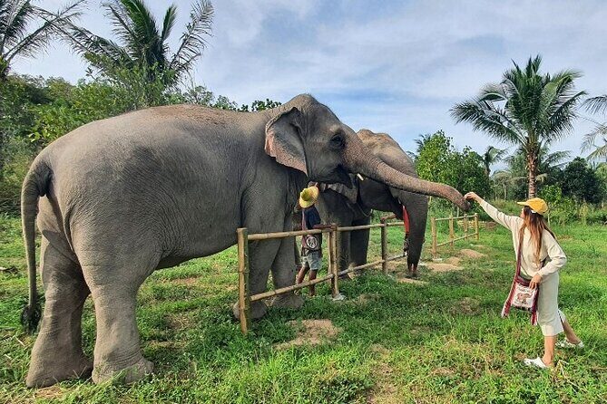 Ethical Elephant Sanctuary Tour from Bangkok & Pattaya - Lunch and Included Comfort Extras: The Stuff That Helps You Enjoy the Day
