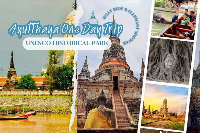 Ethical Elephant Watching Tour From Bangkok & Pattaya - Price and value: is $115 worth a full elephant day?