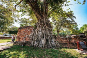 From Bangkok: Ayutthaya Temples Guided Tour with Lunch - Getting there: pickup options and that all-important air-conditioning
