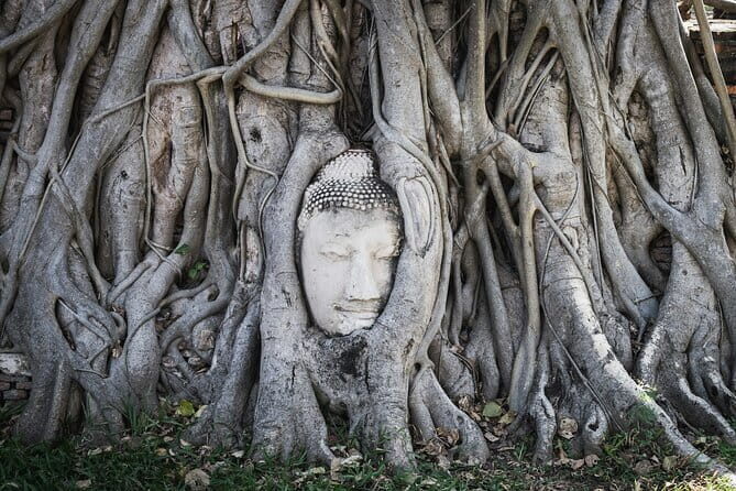 From Bangkok: Ayutthaya UNESCO Heritage Park and Temples Tour - Why the max 12 group size makes the experience better
