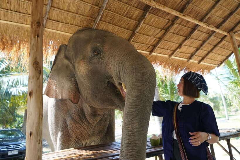 From Bangkok: Living Green Elephant Sanctuary Day Trip - Walking with elephants through forest paths
