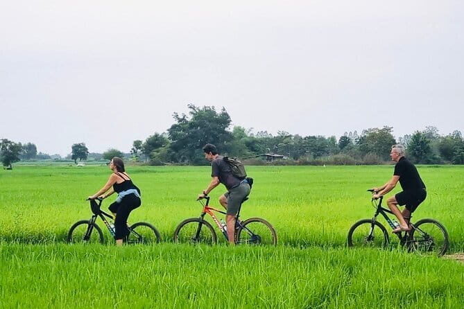 Full-Day Historical Park and Countryside Tour in Sukhothai - The canal countryside ride: villages, rice paddies, and daily work