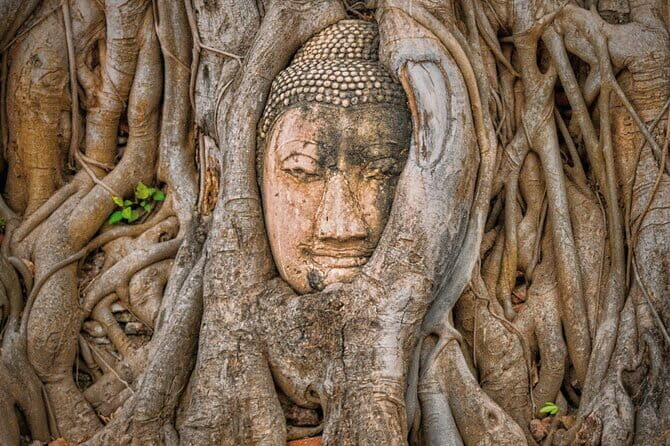 Glittering Ayutthaya Tour to Famous Sights, Market & Sunset Boat - Wat Chaiwatthanaram: Khmer-style prang by the river
