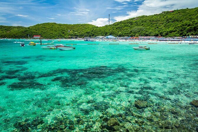 Half-day Coral Island Join Tour with Lunch from Pattaya - Key things I’d bank on before you go