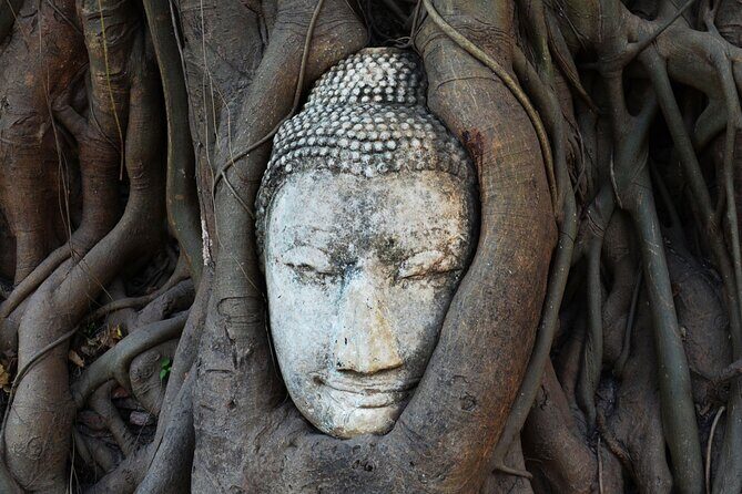 Highlights of Bangkok and Ayutthaya (World Heritage site) in 1 day - Vibe check: the tour pacing, markets, and what’s not included