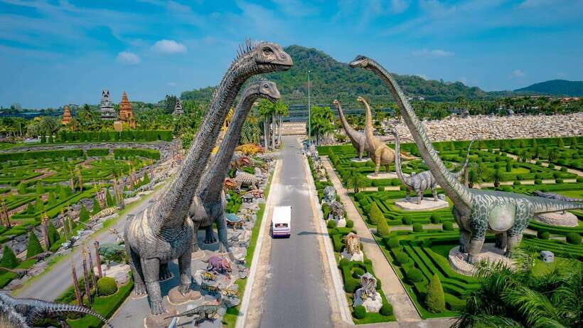 Hop-On Hop-Off Bus Tours and Nongnooch Pattaya Combo - Common friction points to plan around