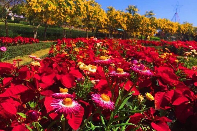 Khao Yai national Park day tour from Bangkok - Private transport and pickup: comfort and control for your group