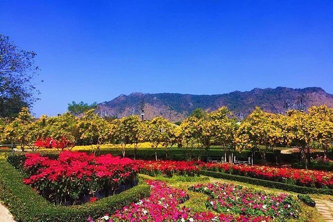 Khao Yai national Park day tour from Bangkok - Price and value of an $81 private day trip (plus park entry)