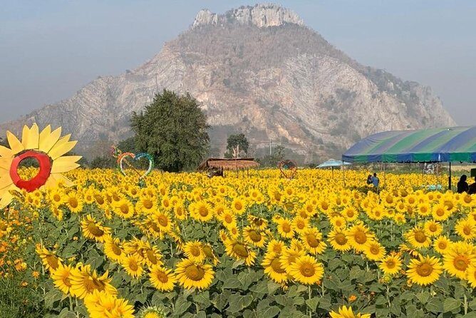 Khao Yai national Park day tour from Bangkok - Who this tour suits best
