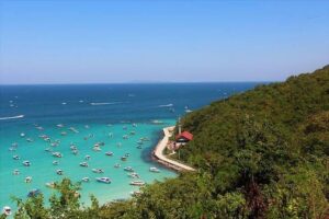 Koh Larn Trip from Pattaya including Lunch at the beach - Speedboat Day Trip From Pattaya: Transfers, Timing, and Group Size