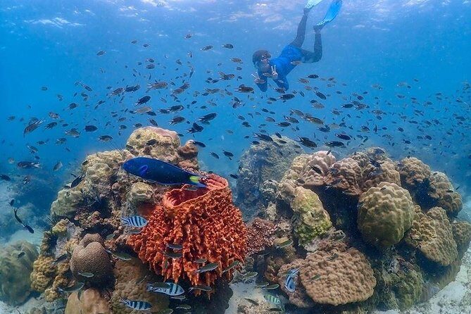 Nemo Island Experience with Drone Photos and Lunch - Getting From Pattaya to Samae San Islands: Van, Pier, Speedboat