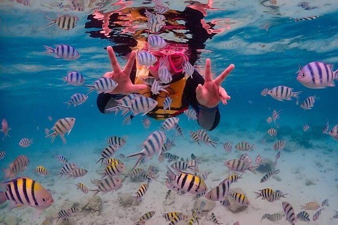 Nemo Island Experience with Drone Photos and Lunch - Second Snorkeling Spot: 6 Meters Deep for More Reef Life