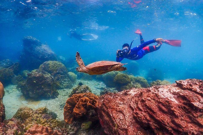 Nemo Island Experience with Drone Photos and Lunch - Lunch by the Sea: Refuel Without Losing the Day